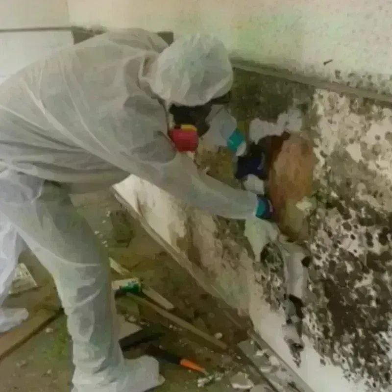 Mold Remediation and Removal in Franklin County, ME