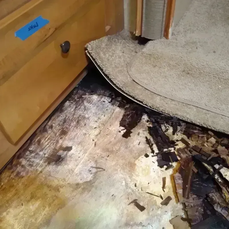 Best Wood Floor Water Damage Service in Franklin County, ME